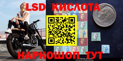 apvp Обнинск