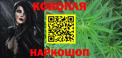 apvp Обнинск